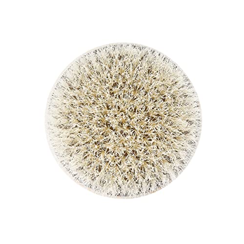 EcoTools Dry Body Brush, For Post Shower & Bath Skincare Routine, Removes Dirt & Promotes Blood Circulation, Helps Reduce Appearance of Cellulite, Eco-Friendly, Vegan & Cruelty-Free, 1 Count - size: 1 Count (Pack of 2)