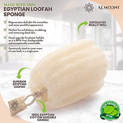Almooni Natural Loofah Exfoliating Body Scrubber for Men and Women, Real Round Egyptian Loofah Sponge with Consistent Scrub Texture, Large Natural Shower Sponge for Body Exfoliation, 2-Count - size: 2 Count (Pack of 1)