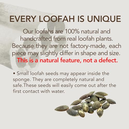 Loofah Sponge for Body Scrub, Exfoliating Body Scrubber & Loofah with Handle, Exfoliating Pads, Loofah for Women, Men & Kids (2 Count,1 Pack, Natural Cut) - color: Natural