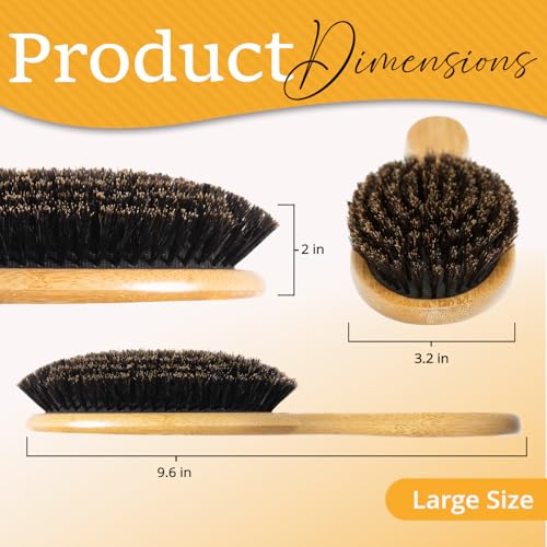 100% Boar Bristle Hair Brush for Women Set by Belula (L Size). Soft Natural Bristles for Thin and Fine Hair. Wooden Comb, Travel Bag and Spa Headband Included! - size: Large