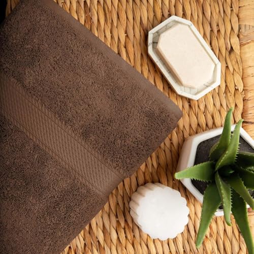 Superior Egyptian Cotton Ultra Plush & Absorbent, 10 Piece Set, Chocolate | Quick Dry, Soft Luxury Towel Set, Bath Essentials, Guest Bath, Spa, 2 Bath, 4 Hand, 4 Face Towels, Madeline Towels - color: Chocolate, size: 10-Piece Towel Set