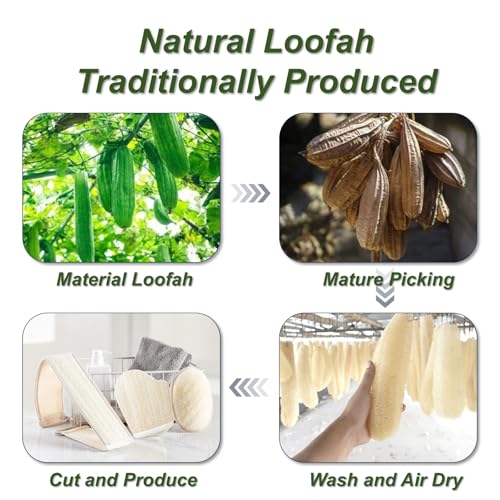 Natural Loofah Sponge, Exfoliating Body Scrubber for Men Women, Loofah with Handle, Exfoliating Back Scrubber for Shower Set, Deeply Clean & Invigorate Your Skin (3 pcs in Box) - style: 3 Count Natural Loofah in 3 Styles