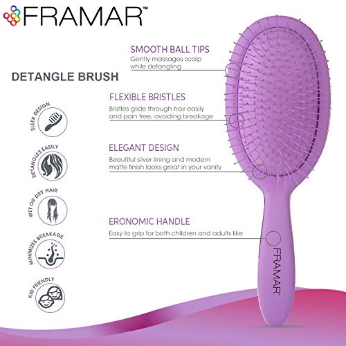 Framar Detangling Brush for Curly Hair – Hair Brushes for Women, Wet Hairbrush For Women, Hairbrushes, Purple Hair Brush Detangler, Reduces Breakage, Frizz and Static – Purple - color: Purple