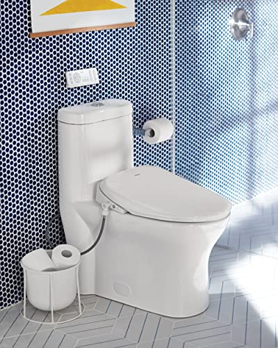 Moen Genta LX Modern Wall Mount Pivoting Toilet Paper Holder for Bathroom, Chrome, BH3808CH - color: Chrome