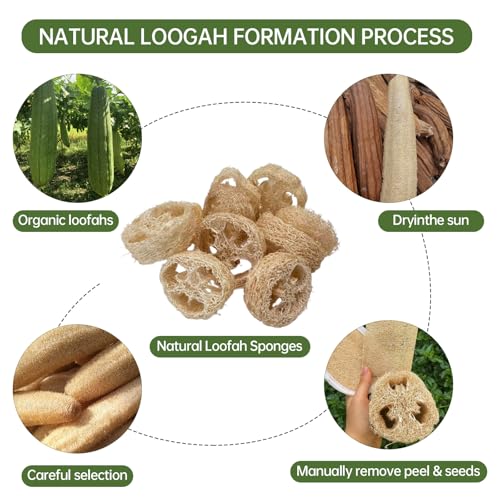 Natural Loofah Sponge for Soap Making, 20 Pack Organic Loofahs Slices Cuts Set, Loofa Exfoliating Body Scrubber, Shower Sponge Luffas for Women and Men - size: 1 Count (Pack of 20)