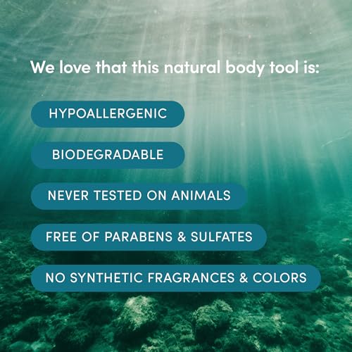 LATHER - Natural Sea Wool Sponge, 4-5" - Organic Exfoliating Body Scrubber - Soft, Gentle Cleansing - Hypoallergenic - All Skin Types - Florida Natural Loofah Sponge - Cruelty Free - Beauty & Skincare - style: Small