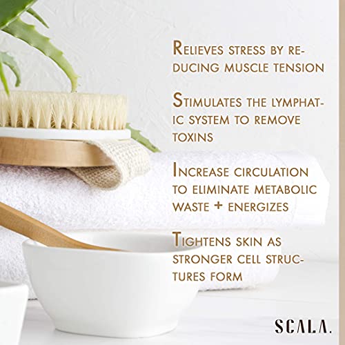 Scala Body Brush Natural Bristle, Dry Brushing Exfoliator for Dead Skin | Medium strength bristles, boosts circulation, lymphatic drainage, cellulite care