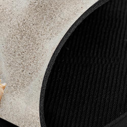 WIRESTER Super Absorbent, Fast Drying Kitchen Sink Splash Guard Faucet Mat, Sink Mat Behind Faucet Drip Catcher, Sink Gadget for Kitchen, Bathroom (15 x 5.5 Inch) - Seashells On The Beach - color: Seashells On The Beach