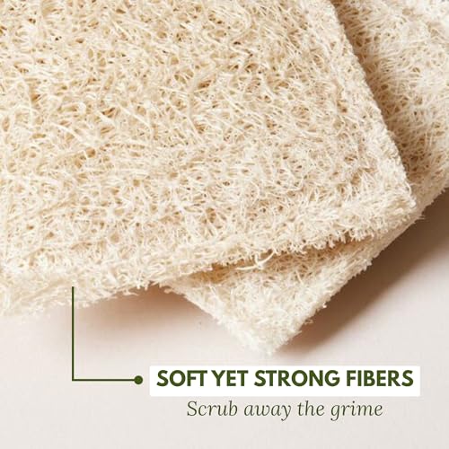 Natural Loofah Dish Sponge (Pack 30) Multipurpose Dish Sponges - 100% Biodegradable Compostable Dishwashing Scouring Pad Zero Waste (2.75" x 2.75" Each) - size: Pack 30
