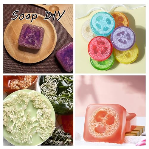 Natural Loofah Slices Cuts for Soap Making-20 Pack Organic Luffa Loofa Sponges for Soap Holder Handmade DIY Loofa Pet Toy Loofahs - color: 20-pack Slices