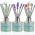 Reed Diffuser Set of 3, Lavender, Rose, Vanilla Aromatherapy Oil Diffusers for Bedroom, Living Room, Office, Gift & Stress Relief, 50ml x 3 - color: Lavender, Vanilla & Rose