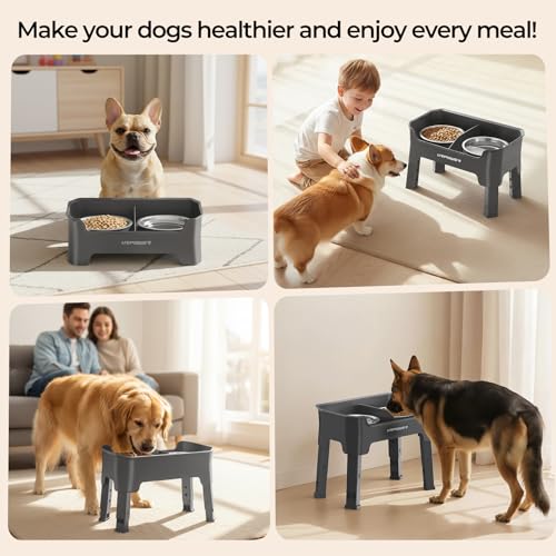 URPOWER Mess Proof Elevated Dog Bowls, High Wall Splash Guard Design, 4 Height Adjustable Raised Bowl Stand, 2 Stainless Steel Bowls, Non-Slip Food Water Set for Small Medium Large Dogs - color: Grey, size: Medium