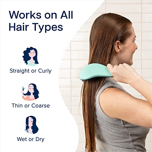 Crave Naturals Glide Thru Detangling Brush for Adults and Kids - Detangler Brush for Curly or Straight, Wet or Dry Hair - Gentle on Tangles Hair Comb - 7.5x3-Inch, Turquoise and Purple (Pack of 2) - color: Turquoise & Purple, size: 2 Pack (Regular)
