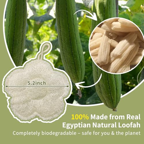 Travel Size Egyptian Loofah, Natural Body & Face Exfoliating Sponge, Quick Dry, Lightweight, Rich Lather,Rough Bath Sponge Set (3 Pack) - color: 3pack
