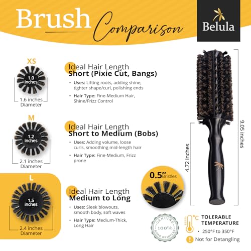 Belula 100% Soft Boar Bristle Round Brush for Blow Drying Set. Round Hair Brush With Large 2.4” Wooden Barrel. Hairbrush Ideal to Add Volume and Body. Free 3 x Hair Clips & Travel Bag - color: Large Barrel 2.4"