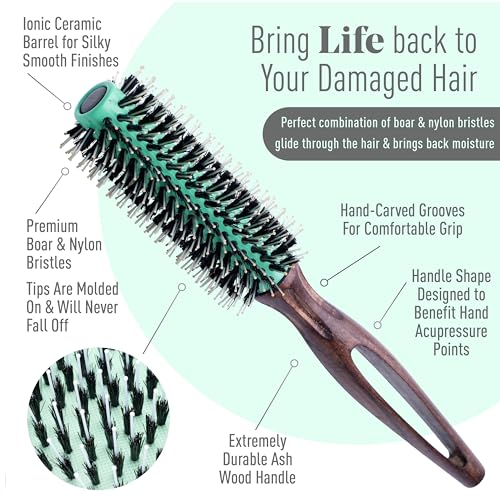MINT Eco-Friendly Boar Bristle Round Brush for Blow Drying | Durable Blowout Styling for All Hair Types | Ceramic Round Brush with Hand-Crafted Wooden Handle (20 mm) - size: 20 mm Round Brush