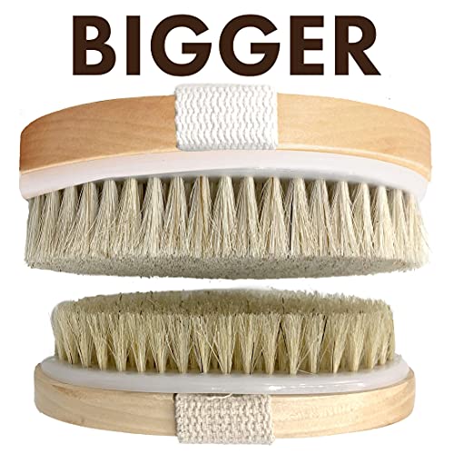 Scala Body Brush Natural Bristle, Dry Brushing Exfoliator for Dead Skin | Medium strength bristles, boosts circulation, lymphatic drainage, cellulite care
