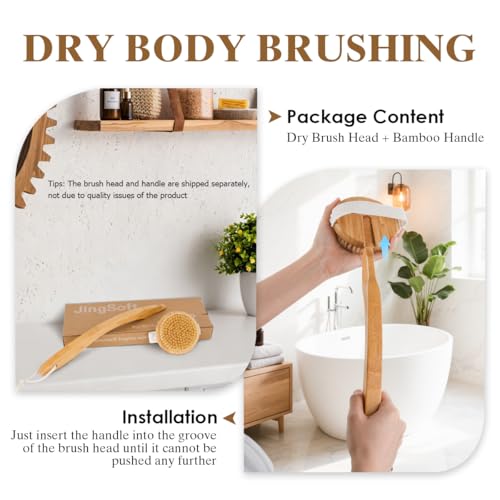 Detachable Dry Brushing Body Brush, Natural Boar Bristle Back Scrubber for Shower for Men and Women with Long Handle for Exfoliation and Lymphatic