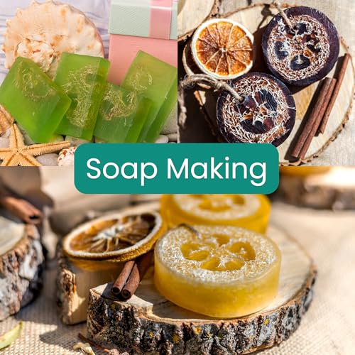 10 Pcs (7 – 10 Inches) Natural Loofah Sponge | Organic Loofah | Shower Loofah Exfoliating Body Scrubber | Bath for Loofah for Men and Women | (10 - Pack) - size: 7.1 – 10 Inch