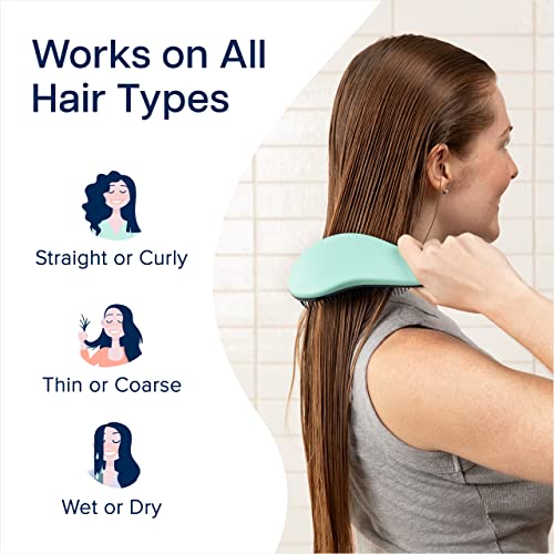 Crave Naturals Glide Thru Detangling Hairbrush that Glides Through Tangles For Wet, Dry and Damaged Hair - Gentle Detangler Styling Tool for Adults, Kids, Men and Women - 7.5 x 3 in, Turquoise - color: Hero Teal, size: 1 Pack (Regular)