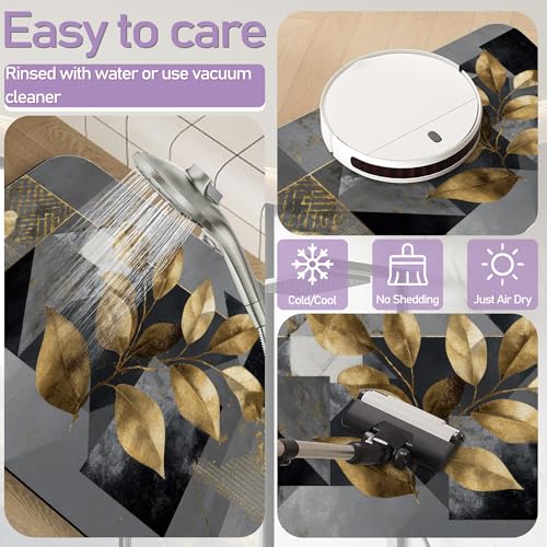 Modern Gray Bathroom Rugs Mat, Super Absorbent Quick Drying Floor Mat for Bathroom Entryway 17"x30" - color: Modern Gray