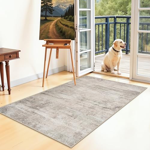 Area Rugs 3x5 for Walk-in Closet – Ultra Soft Modern Abstract Non Slip Thin Carpet Low Pile Stain Resistant Home Decor Rug for Married Woman 30-45yr in Bedroom, Dressing Room, Home Office 3x5 Beige - color: Beige, size: 3' x 5' (Rectangular)