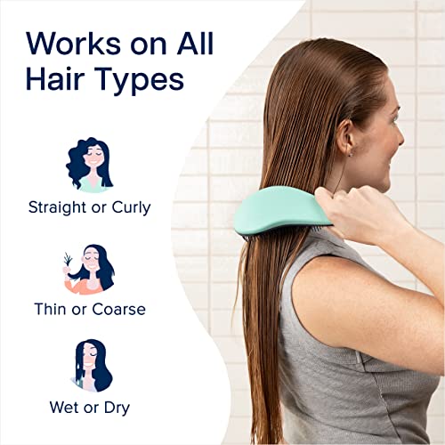 Crave Naturals Glide Thru Detangler Brush Pack of 2 - Curly Hair Brush for Women and Kids - Wet and Dry Comb for Adults - Soft Flexible Bristles for Gentle Use - Turquoise and Pink - color: Turquoise & Pink, size: 2 Pack (Regular)