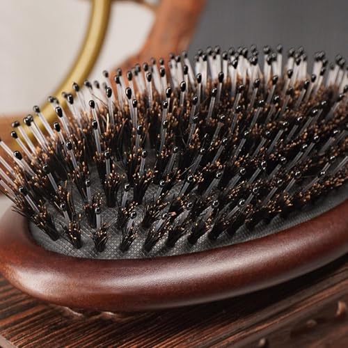 No Shampoo Hair Brush for Oily Hair - Scalp Massager Comb for Growth and Care - Multifunctional Cleansing Brush