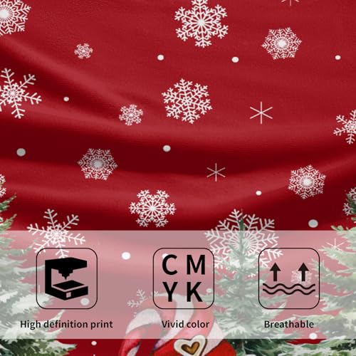 Red Christmas Cute Gnomes Hand Bath Towel Set of 2 Winter Snowflake Towel 14"x28" Winter Gnomes Hand Towels for Bathroom Soft Highly Absorbent Xmas Fingertip Towel for Home Farmhouse Hotel SPA Gym - color: Christmas Cute Gnomes