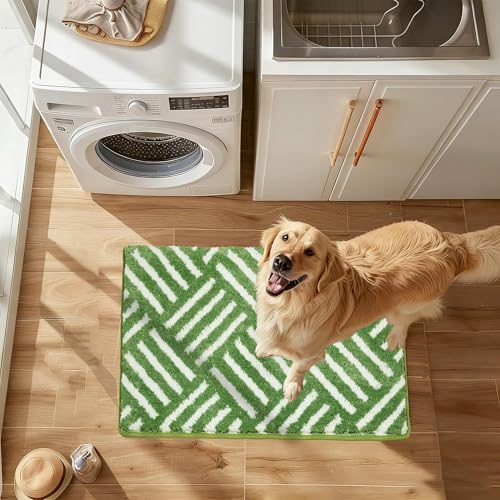 ORTIGIA Striped Green Bathroom Rugs Non Slip Washable, 20x30 Quick Dry Absorbent Soft Plush Microfiber Bath Mats, Bath Rugs for Bathroom Floor Carpet for Sink Bedroom