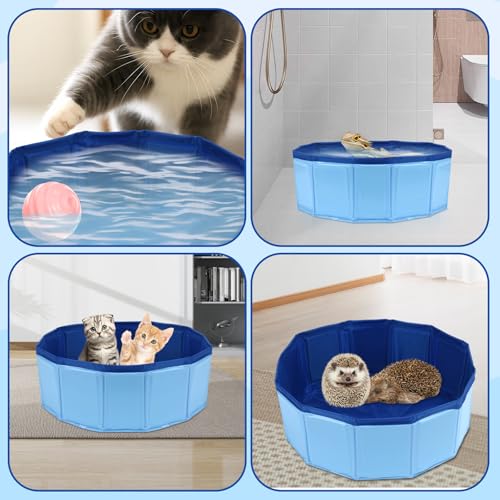 Foldable Bearded Dragon Bathtub with Brush Towel Set Reptile Accessories | Bearded Dragon Pool, Reptile Bathing Pool for Lizards,Tortoises and Small Reptiles, Bearded Dragon Accessories