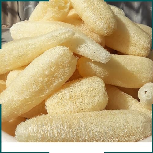 10 Pcs (5 – 7 Inches) Shower Loofah Exfoliating Body Scrubber | Natural Loofah Sponge | Bath for Loofah for Men and Women | Pack of 10 - size: 1 Count (Pack of 10)