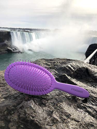 Framar Detangling Brush for Curly Hair – Hair Brushes for Women, Wet Hairbrush For Women, Hairbrushes, Purple Hair Brush Detangler, Reduces Breakage, Frizz and Static – Purple - color: Purple