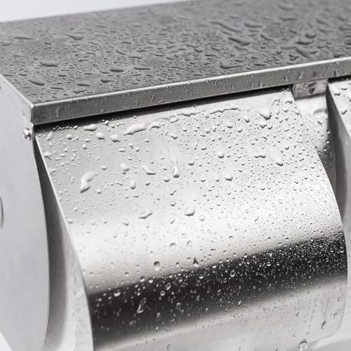 Desyeryamimi Double Roll Toilet Paper Holder Dispenser with Shelf Storage-Commercial 2-Roll Side by Side Stainless Steel Toilet Tissue Holder/Dispenser Wall Mount for Bathroom/Restroom-Brushed Finish