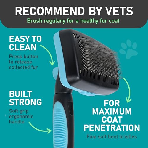 Maxpower Planet Dog Rake and Dog Hair Brush - Gently Removes Loose Undercoat, Mats and Tangled - Deshedding Grooming Tool for Dogs & Cats - Self Cleaning Slicker Brush - All Hair Types - color: A - Rake & Brush (Best Value), size: Large