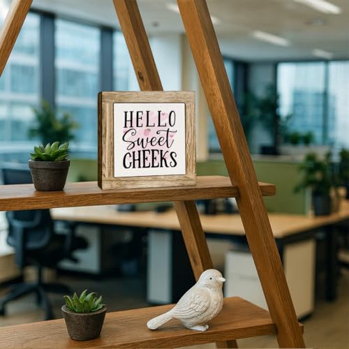 Rustic Farmhouse Bathroom Decor, Hello Sweet Cheeks Wooden Box Sign, Funny Decorative for Bathroom, Toilet Shelves Accessory, Square Wood Block Sign Table Decor 5.9×5.9 inch - color: color31
