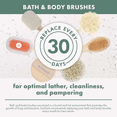 EcoTools Dry Body Brush, For Post Shower & Bath Skincare Routine, Removes Dirt & Promotes Blood Circulation, Helps Reduce Appearance of Cellulite, Eco-Friendly, Vegan & Cruelty-Free, 1 Count - size: 1 Count (Pack of 2)