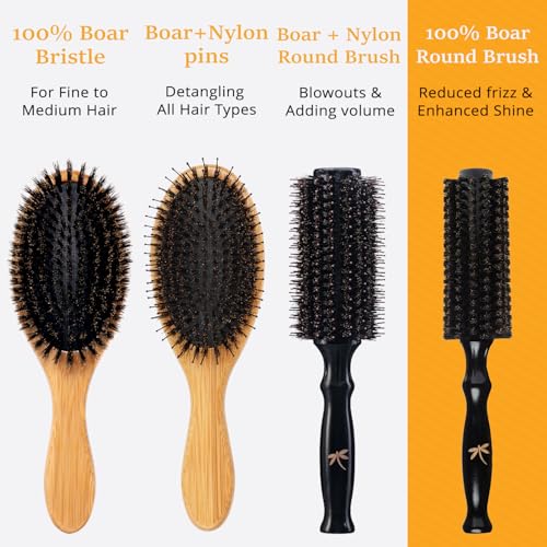 Belula 100% Soft Boar Bristle Round Brush for Blow Drying Set. Round Hair Brush With Large 2.4” Wooden Barrel. Hairbrush Ideal to Add Volume and Body. Free 3 x Hair Clips & Travel Bag - color: Large Barrel 2.4"