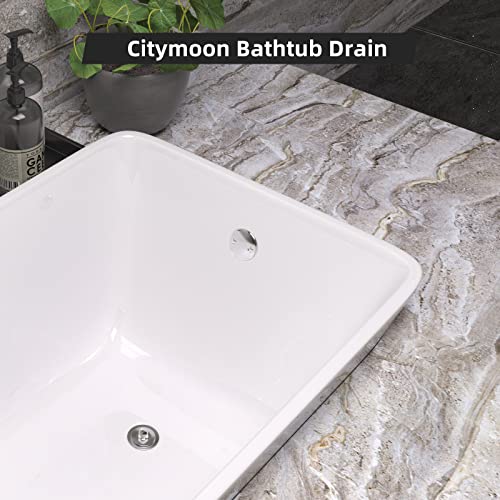 All Metal Lift & Turn Bathtub Drain Kit with Two-Hole Overflow Faceplate, Replacement Bath Tub Drain Trim Set Fine/Coarse Thread Conversion Kit Assembly, Tub Drains and Overflow -Chrome Plated - color: Chrome Plated