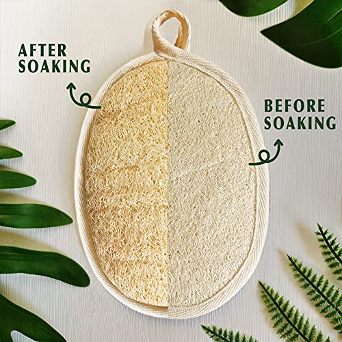 YIQINGJIE Natural Loofah Sponge Exfoliating Body Scrubber(4 Packs),Made with Eco-Friendly and Biodegradable Soft Shower Luffa Sponge, Loofah for Women and Men, Brown - style: Bag