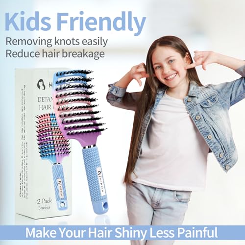 Boar Bristle Hair Brush Set of 2, HIPPIH Wet & Dry Hair Brushes Made by Fine Natural Boar Hair Can Adds Shine and Smoothing, Detangling Hairbrush for Women, Men & Kids' Long Curly Thick Hair - color: Mint Purple & Blue