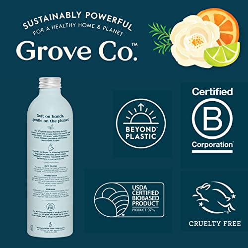 Grove Co. Foaming Hand Soap Concentrate (12 Fl Oz) + Reusable Glass Soap Dispenser, Plastic-Free Liquid Refillable Starter Kit, Free and Clear Unscented
