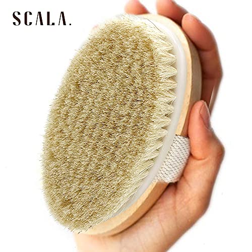 Scala Body Brush Natural Bristle, Dry Brushing Exfoliator for Dead Skin | Medium strength bristles, boosts circulation, lymphatic drainage, cellulite care