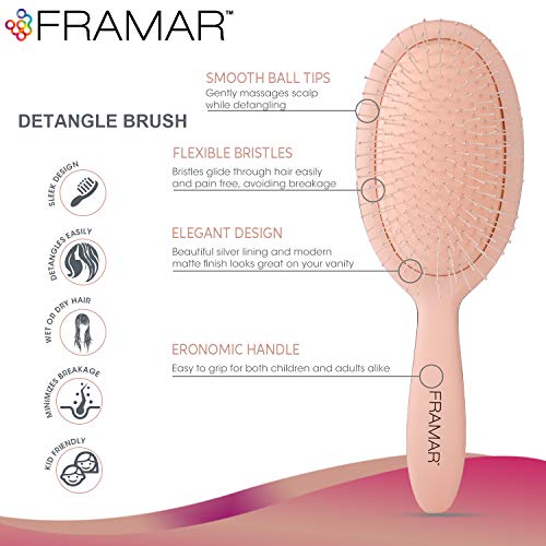 Framar Detangling Brush for Curly Hair – Hair Brushes for Women, Wet Detangler Hair Brush, Wet Hairbrush For Women, Hairbrushes, Hair Brush Detangler – Reduces Hair Breakage Champagne - color: Champagne