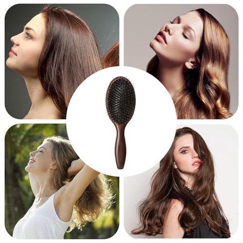 No Shampoo Hair Brush for Oily Hair - Scalp Massager Comb for Growth and Care - Multifunctional Cleansing Brush