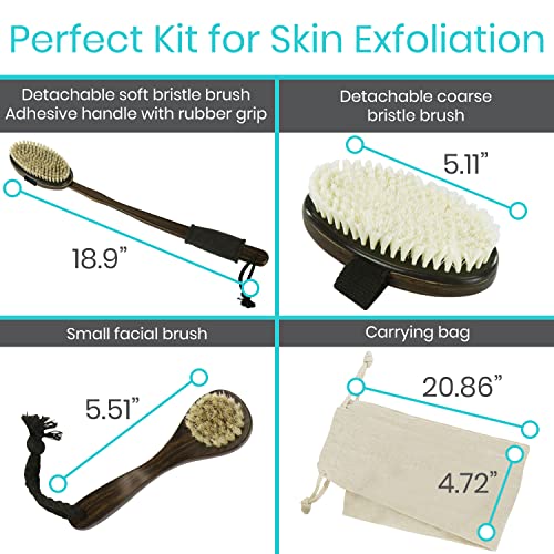Vive Dry Brush Set for Lymphatic Drainage (3 Pack) - Brushing Scrubber for Exfoliating, Body Cellulite and Skin Massage - 100% Natural Boar Hair Bristles, 19” Long Dark Wooden Handle w/Storage Bag