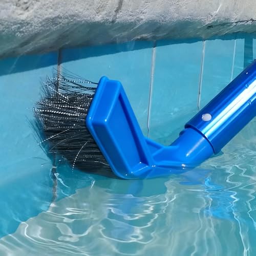 Stainless Steel Pool Brush Set with Pool Pumice Stone to Reomve Erase Rust Stain Spot in Concrete Plaster Pool Spa and Calcium Deposit on Pool Tile