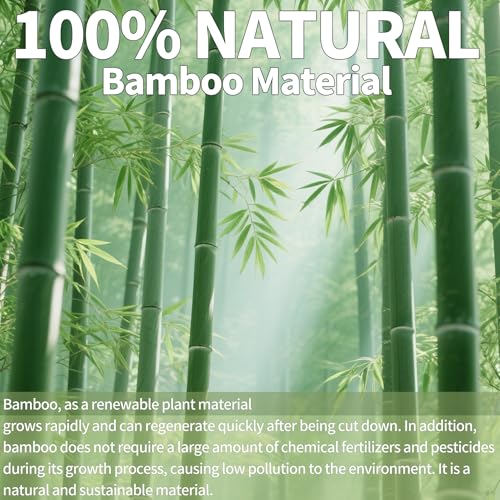 Mini Bamboo Hair Brush 2-Pack, Boar Bristle & Single Pins Massage Detangler, Small Travel Size for Thick/Curly Hair, Anti-Static Pocket Brush for Women Men Kids Gift