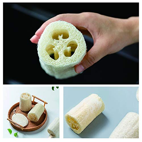 pisdoplop Natural Loofah Exfoliating Body Sponge Scrubber, 5 inch-Long Organic Loofa Luffa Plant-Based for Men & Women Skin Care Bath Shower Cleaning, Natural Sponges for Dishes - style: 5 Inch (Pack of 4)