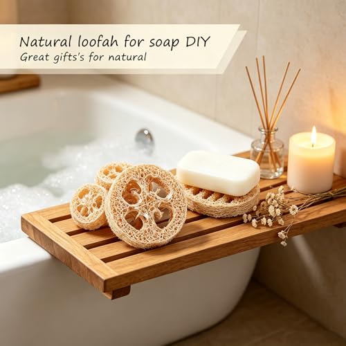 Natural Loofah Slices Cuts for Soap Making-20 Pack Organic Luffa Loofa Sponges for Soap Holder Handmade DIY Loofa Pet Toy Loofahs - color: 20-pack Slices